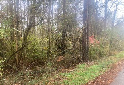 Undeveloped Land for sale in Pulaski County, Kentucky