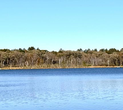 Undeveloped Land for sale in Wadena County, Minnesota