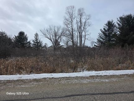 Undeveloped Land for sale in Gladwin County, Michigan