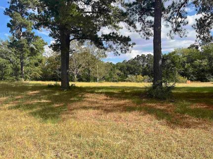 Land for sale in Covington County, Alabama