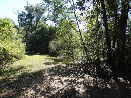 Homesite for sale in Jefferson County, Florida