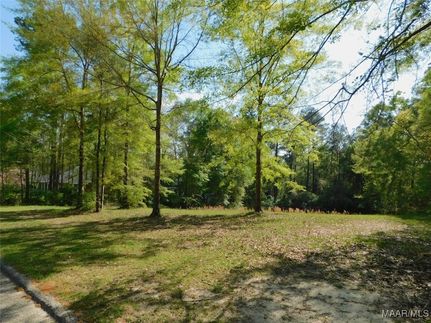 Homesite for sale in Covington County, Alabama