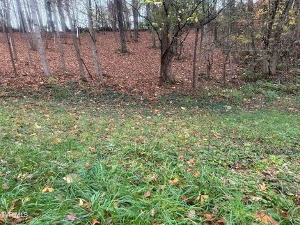 Homesite for sale in Greene County, Tennessee