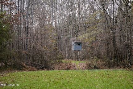 Land for sale in Choctaw County, Mississippi