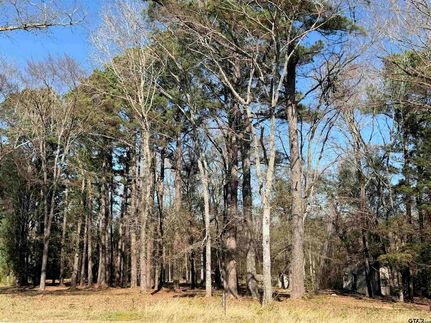 Land for sale in Smith County, Texas