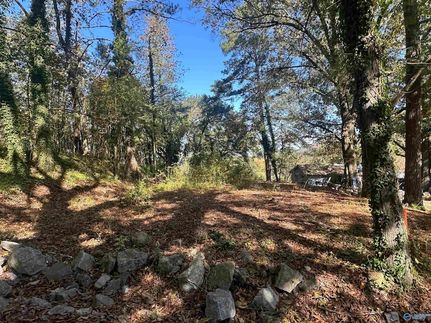 Land for sale in Marshall County, Alabama