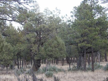 Recreational Property for sale in Coconino County, Arizona