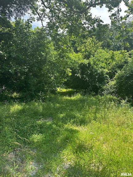 Homesite for sale in Union County, Illinois