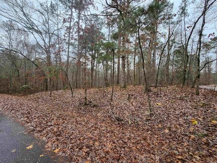 Undeveloped Land for sale in Saline County, Arkansas