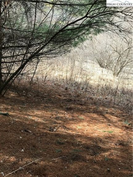 Land for sale in Ashe County, North Carolina