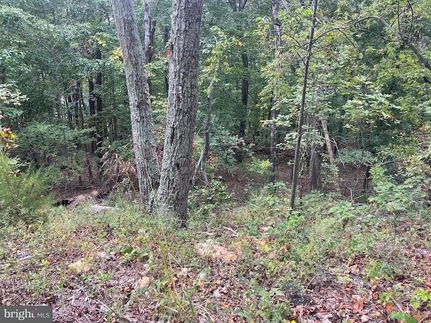 Homesite for sale in Page County, Virginia