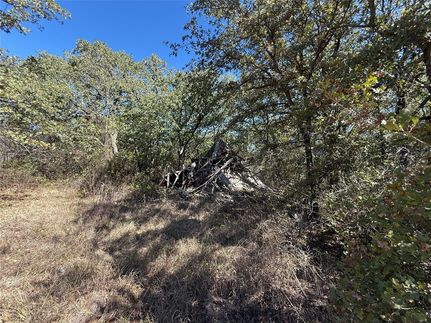 Land for sale in Montague County, Texas