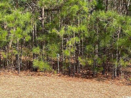 Land for sale in Horry County, South Carolina