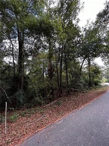 Homesite for sale in Saint Tammany Parish, Louisiana