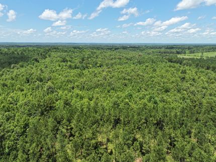 Land for sale in Harrison County, Texas