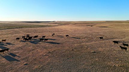 Hunting Property for sale in Washington County, Colorado