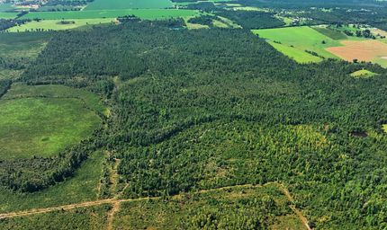 Land for sale in Jackson County, Florida