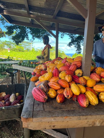 Commercial Property for sale in Maui County, Hawaii