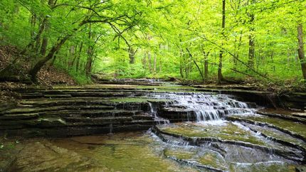 Land for sale in Dickson County, Tennessee