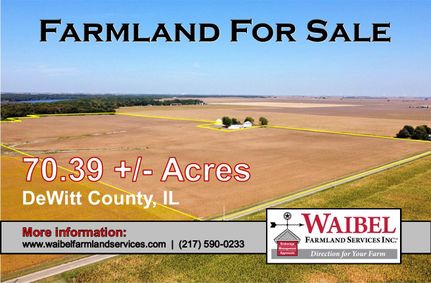 Farm and Ranch for sale in DeWitt County, Illinois
