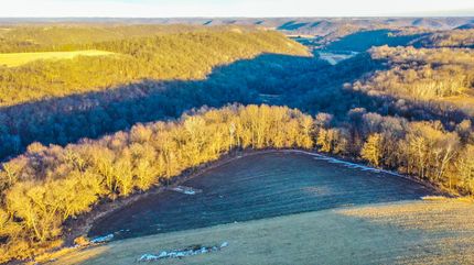 Timberland Property for sale in Buffalo County, Wisconsin