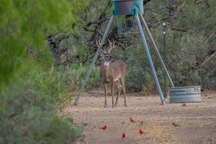 Land for sale in Concho County, Texas