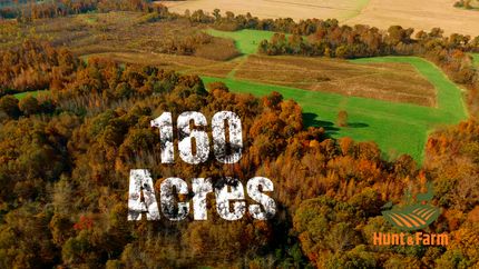 Timberland Property for sale in Pope County, Illinois