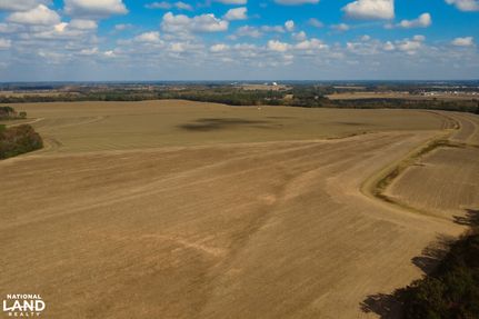 Land for sale in Henry County, Alabama