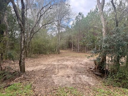 Land for sale in Marion County, Mississippi