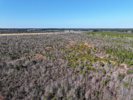 Land for sale in Pitt County, North Carolina