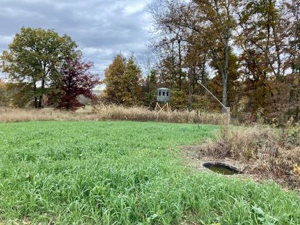 Land for sale in Greene County, Indiana