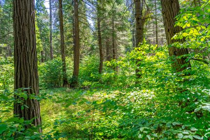 Land for sale in El Dorado County, California