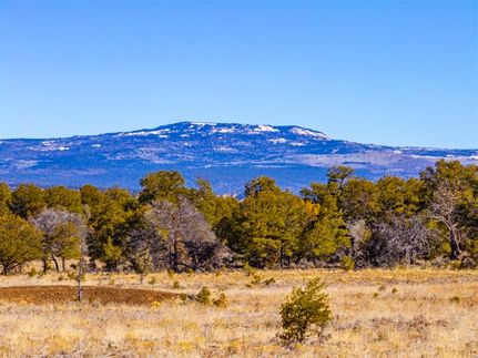 Farm and Ranch for sale in Rio Arriba County, New Mexico