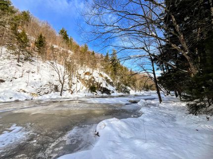 Land for sale in Saint Lawrence County, New York