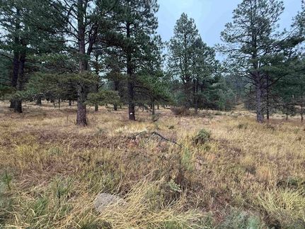 Homesite for sale in Colfax County, New Mexico