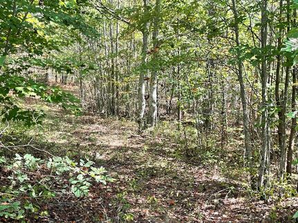 Homesite for sale in Marion County, Tennessee