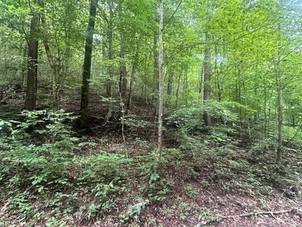 Homesite for sale in Clay County, Tennessee