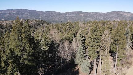 Undeveloped Land for sale in Colfax County, New Mexico