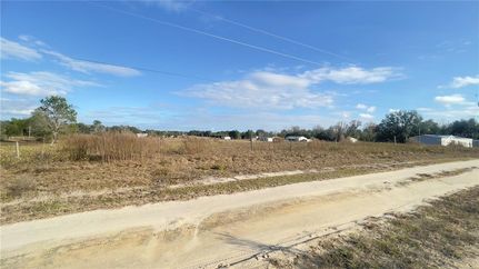 Land for sale in Levy County, Florida