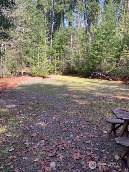 Homesite for sale in Mason County, Washington
