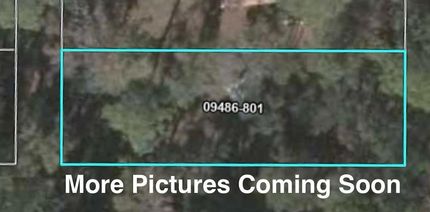 Homesite for sale in Taylor County, Florida