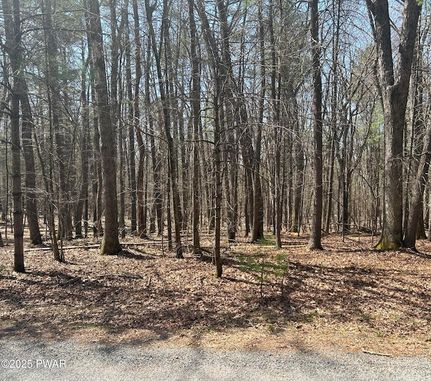Homesite for sale in Pike County, Pennsylvania