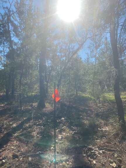 Homesite for sale in Putnam County, Florida