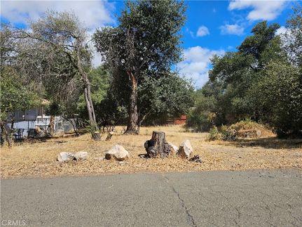 Undeveloped Land for sale in Lake County, California