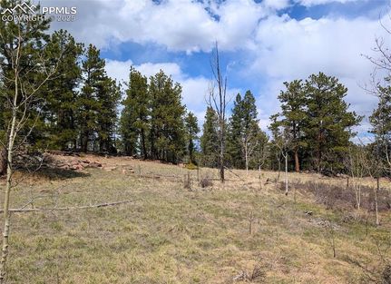 Homesite for sale in Park County, Colorado