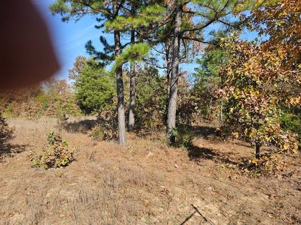 Homesite for sale in Pushmataha County, Oklahoma