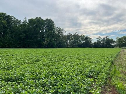 Homesite for sale in Accomack County, Virginia