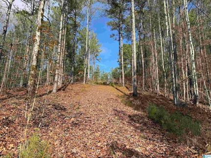 Homesite for sale in Saint Clair County, Alabama