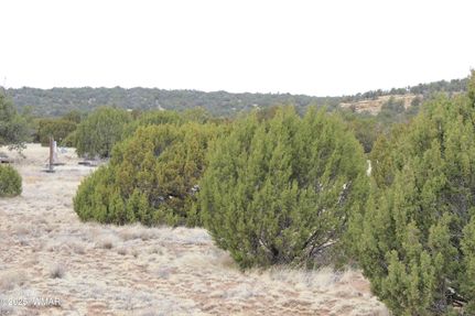 Homesite for sale in Apache County, Arizona