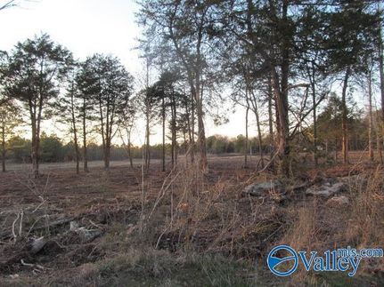 Land for sale in Marshall County, Alabama